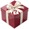 Mystery Gift